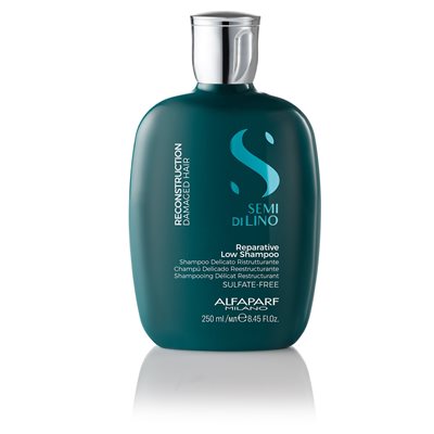 SDL RECON. REPAR LOW SHAMPOO 250ML